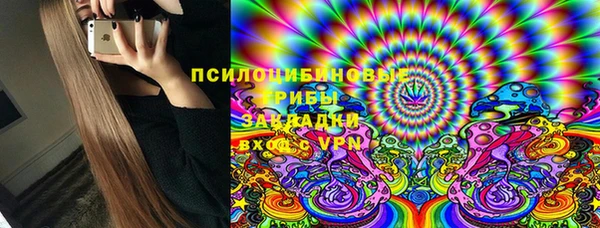 шишки Алексин