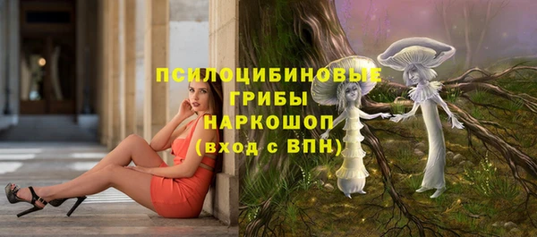 шишки Алексин